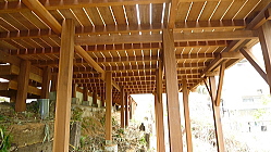 �E�����E�b�h�f�b�L�̉��n