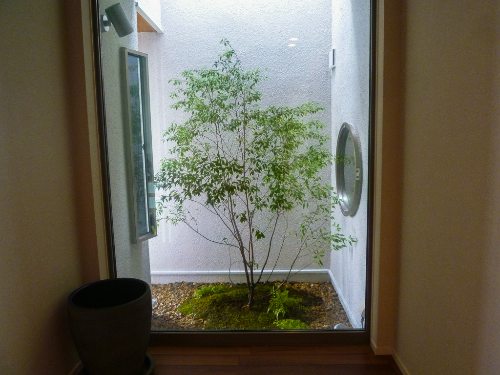 お家の中に一本のシャレた木を 中庭